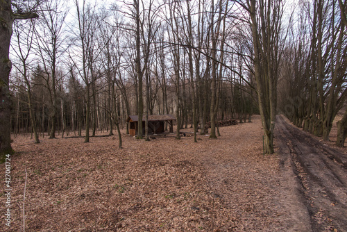 Dirt road through the park next to the Church of Saints Peter and Paul on the Bug River in Swierzach. photo