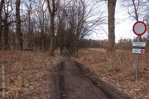 Dirt road through the park next to the Church of Saints Peter and Paul on the Bug River in Swierzach. photo