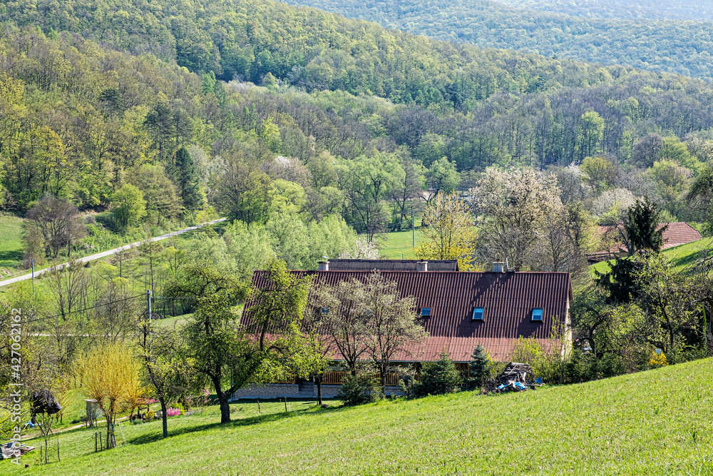 Rural landscape, Slovakia, spring time