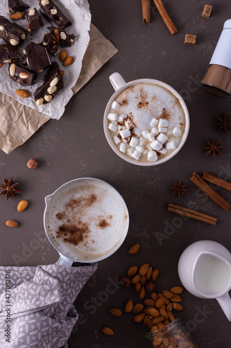Winter cocoa drink with milk foam and marshmallow in a mug and an aluminum scoop, cinnamon and almonds, cane sugar and star anise, dark chocolate with nuts, top view © pundapanda