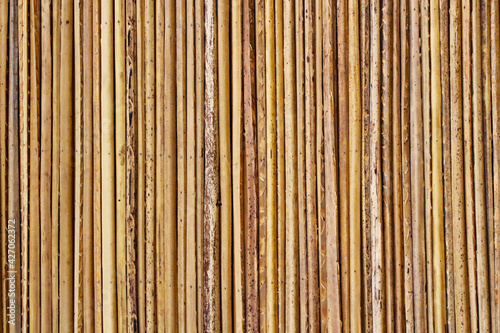Fototapeta Naklejka Na Ścianę i Meble -  Thin bamboo sticks. Close-up. Selective focus. Vertical view. Background. Texture.