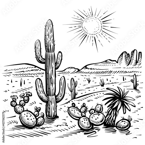 Desert landscape and cactus, vector illustration. Line sketch.