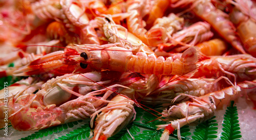Fresh red king tiger shrimp close up lying on ice on fish market