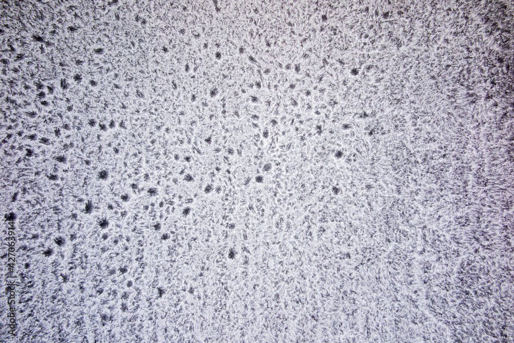 frost, ice coating on the garage window pane