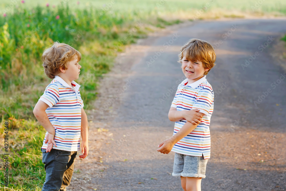 Two little brothers boys fighting. Twins, upset children arguing outdoors.  Rivalry and competition betweens siblings. Unhappy twins. One boy crying.  Stock Photo | Adobe Stock