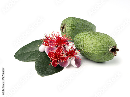 Green feijoa fruits and flowers isolated on a white background.