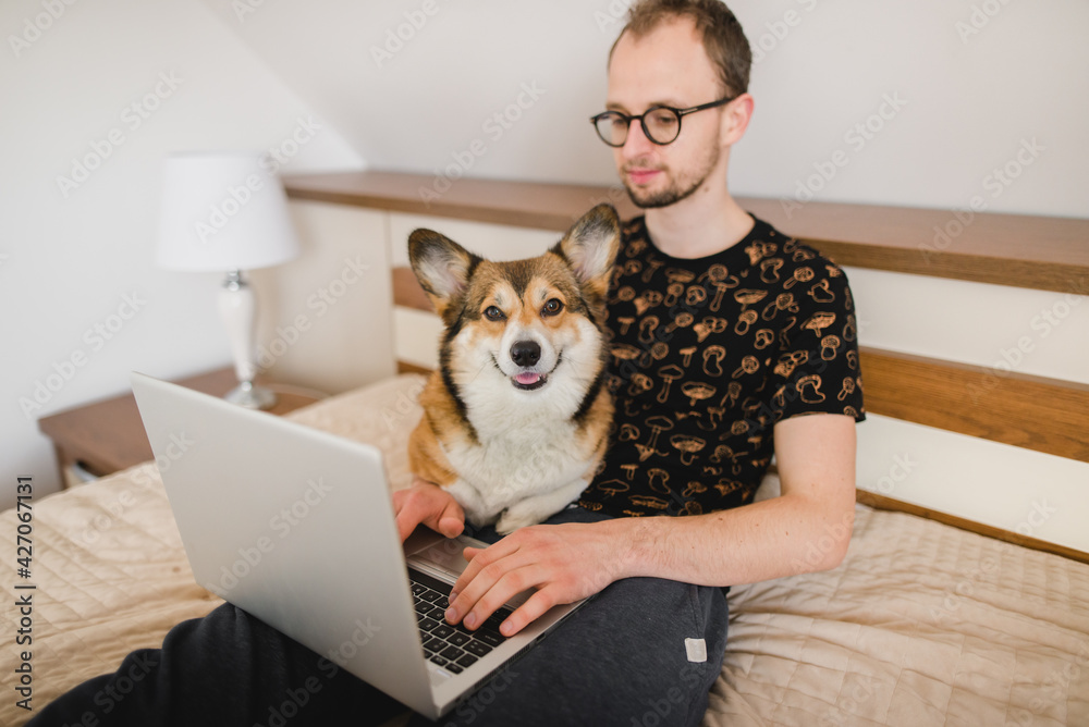 A young man working in a bedroom with a welsh corgi pembroke dog A young man working in a bedroom with a welsh corgi pembroke dog
