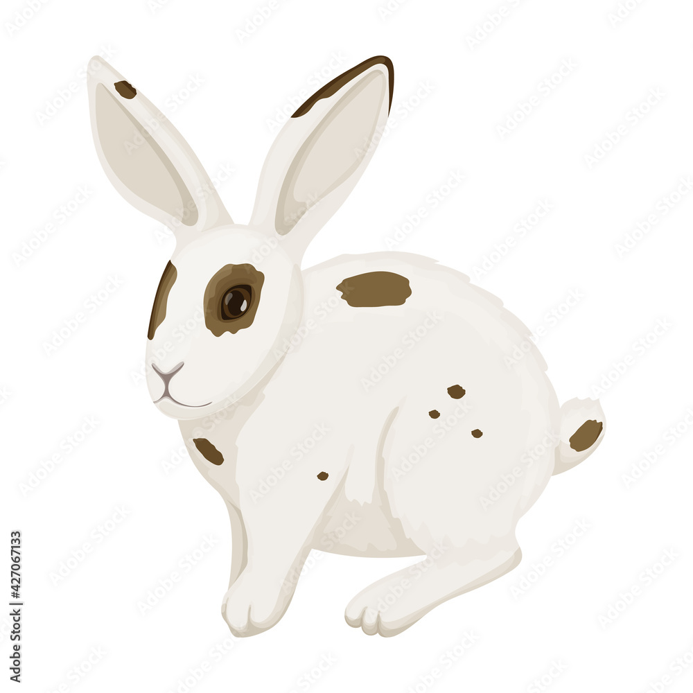 Rabbit vector cartoon icon. Vector illustration bunny on white background. Isolated cartoon illustration icon of rabbit.