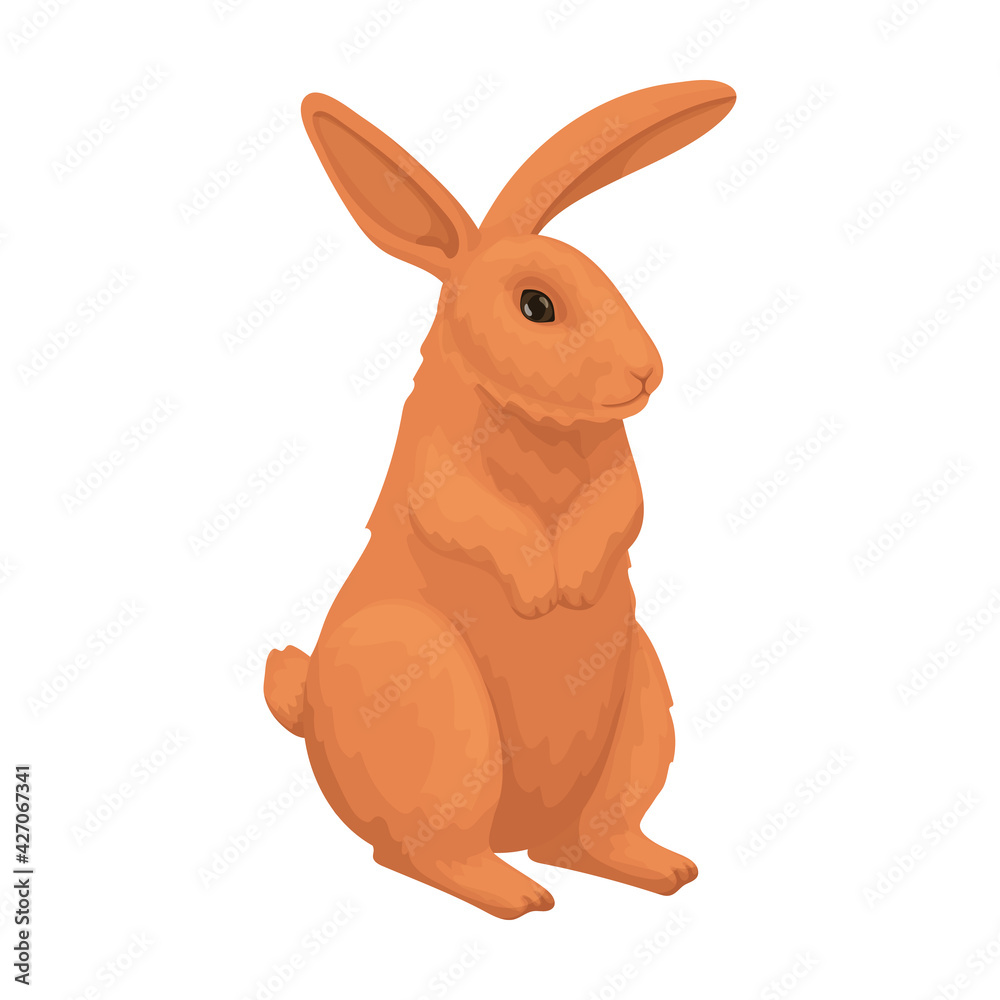 Fototapeta premium Rabbit vector cartoon icon. Vector illustration bunny on white background. Isolated cartoon illustration icon of rabbit.