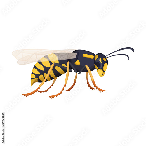 Wasp vector cartoon icon. Vector illustration insect wasp on white background. Isolated cartoon illustration icon of insect hornet.