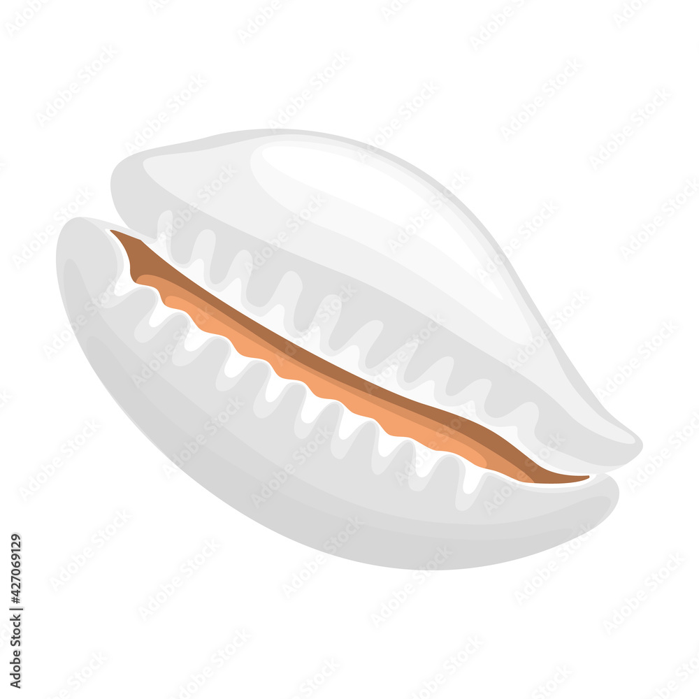 Shell sea vector cartoon icon. Vector illustration sea shell on white background. Isolated cartoon illustration icon of seashell.