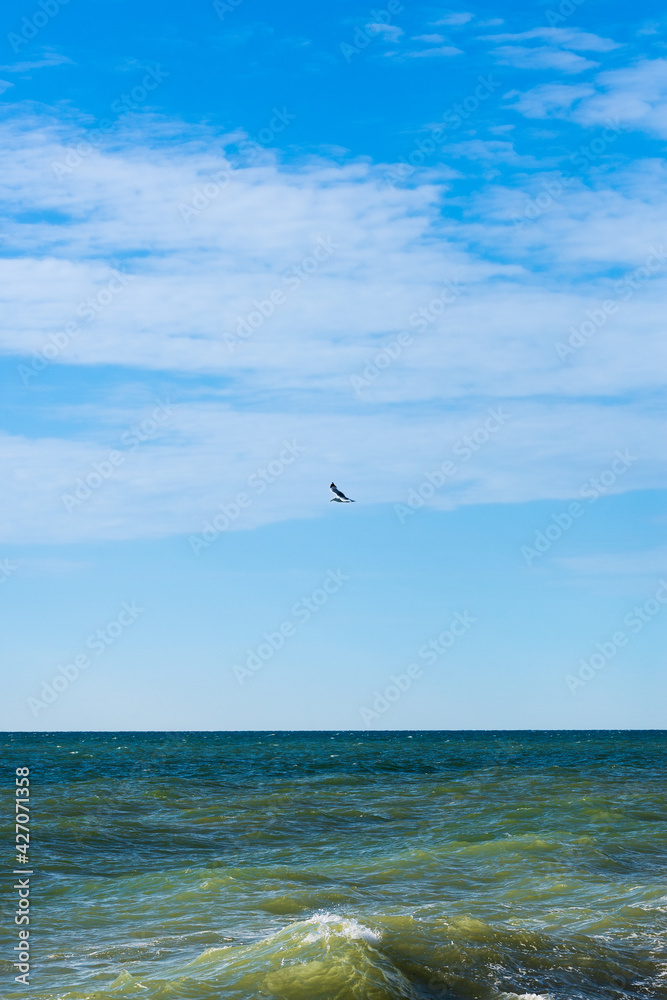 Fototapeta premium Seascape on a clear summer sunny day