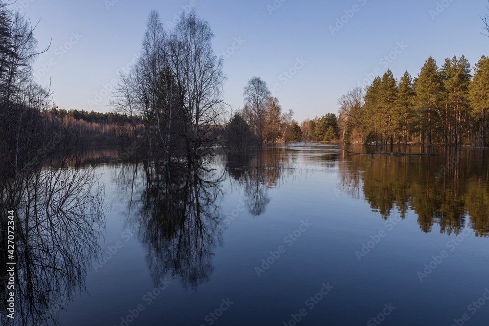 River flood in the foreground. Trees grow in the river. The blue sky and trees are reflected in the water.