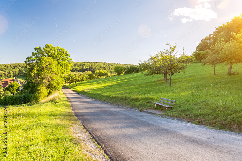 Hiking road in beautiful, lush green hilly spring landscape with scenic lens flare