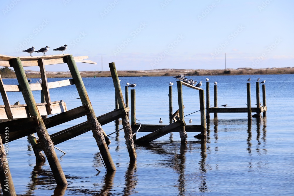 Seagulls Resting on Damaged Pier