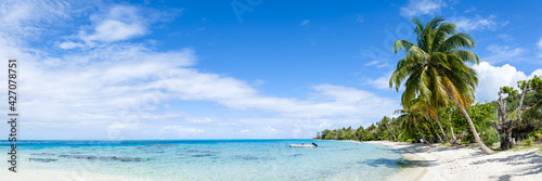 Panoramic view of a tropical beach with palm tree