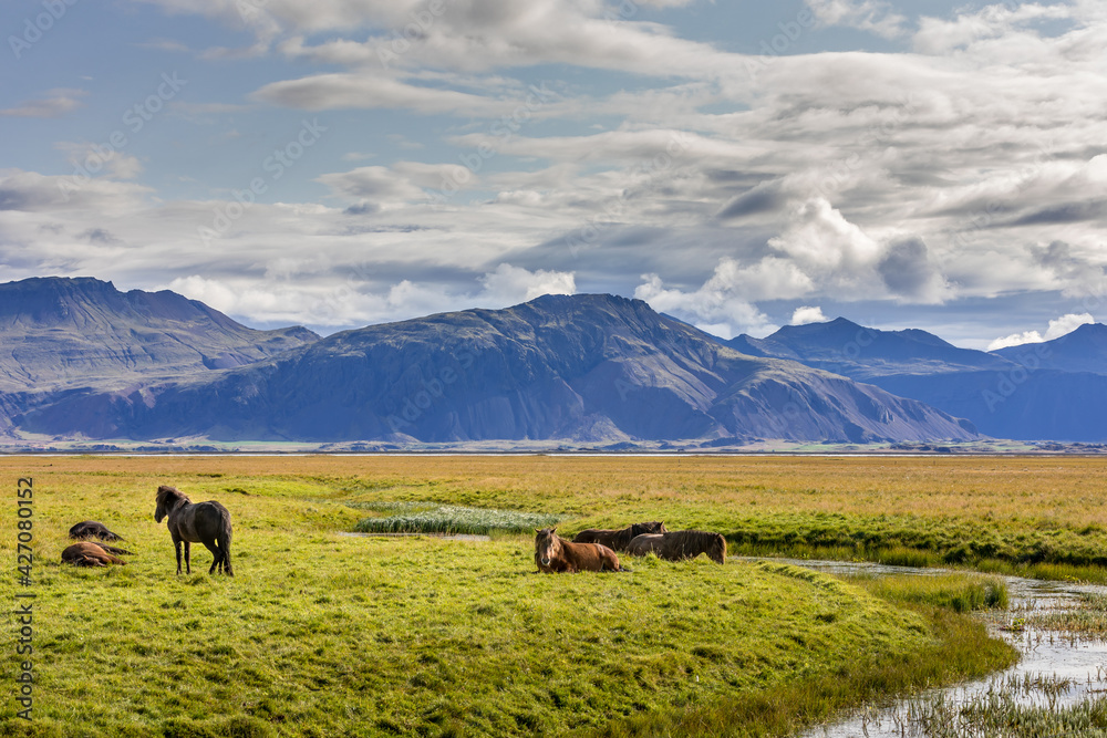 Iceland Iceland