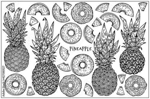 Hand drawn black and white sketch of pineapple set, slices, line art, vector illustration isolated on white background. Tropical Exotic fruits. Detailed food drawing for print, menu, market, label.