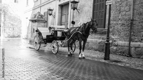 Foto horse-drawn carriage