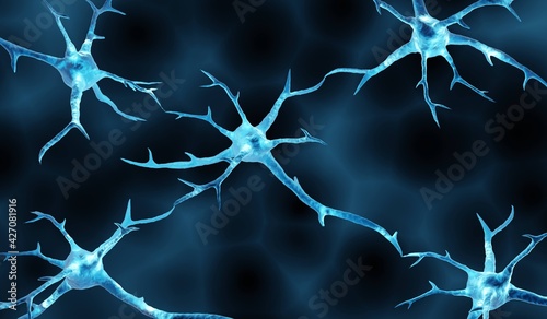 Neurons, connected nerve cells in human brain responsible for cognitive functions photo