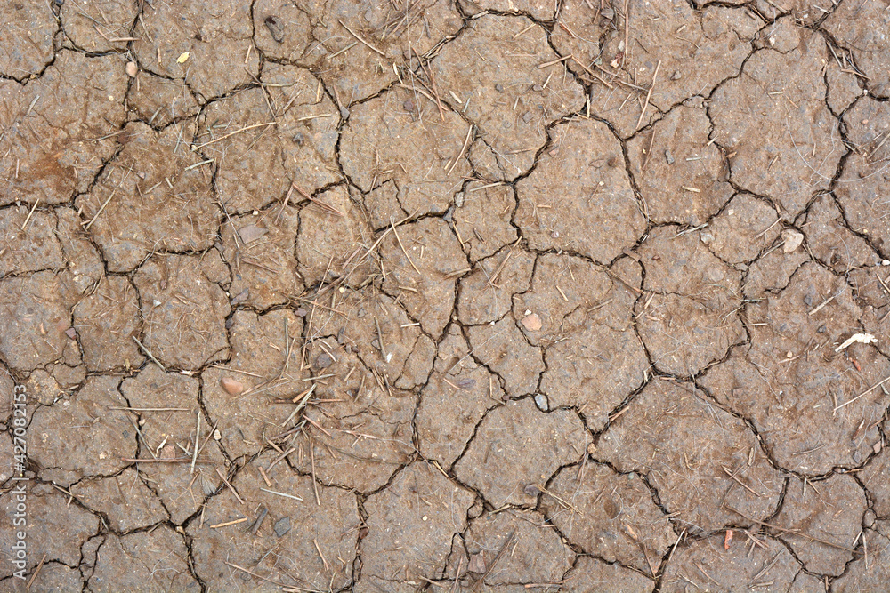 dry soil with cracks - closeup dry soil with cracks - closeup