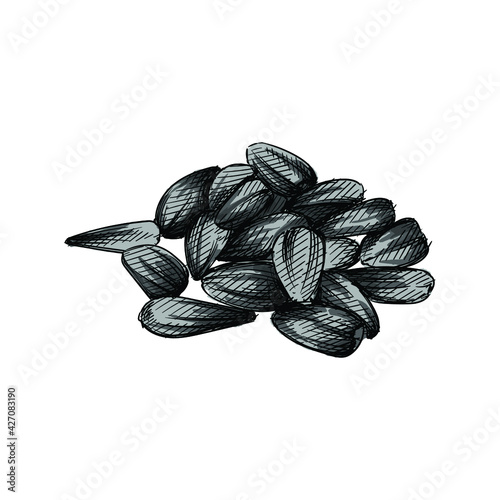 Colorful watercolor Hand drawn sketch of a handful of sunflower seeds on a white background. Sunflower seed. Sunflower.	
