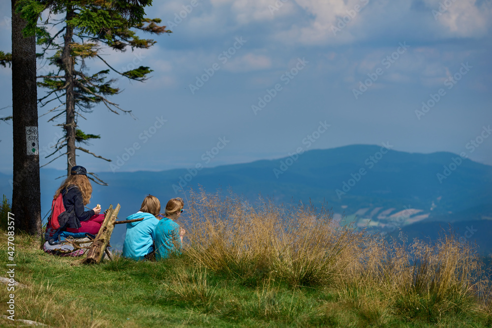 Fototapeta premium Rodzina i przyjaciele na letniej wyprawie w góry w ciepły, słoneczny dzień