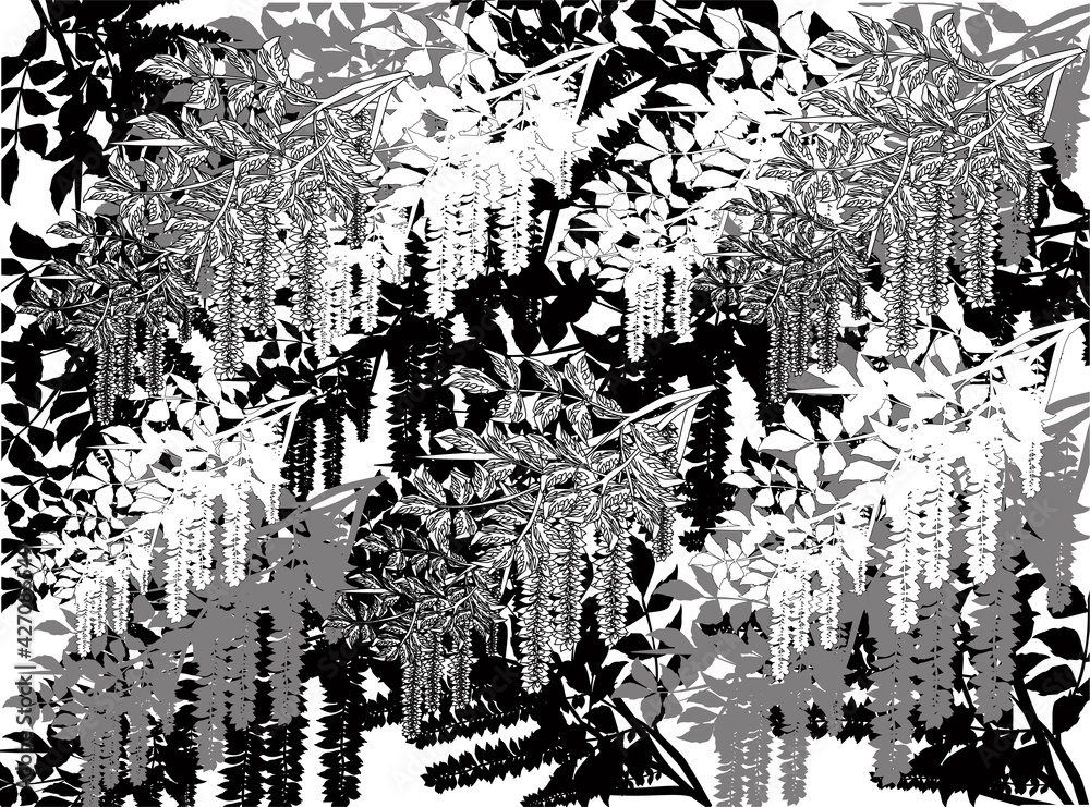 black spring background from blossoming tree branches black spring background from blossoming tree branches