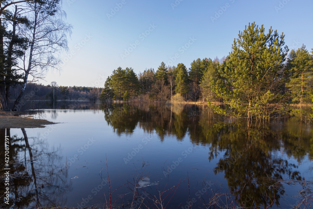 River flood in the foreground. The pines are illuminated by the rays of the setting sun. The blue sky and trees are reflected in the water. River flood in the foreground. The pines are illuminated by the rays of the setting sun. The blue sky and trees are reflected in the water.