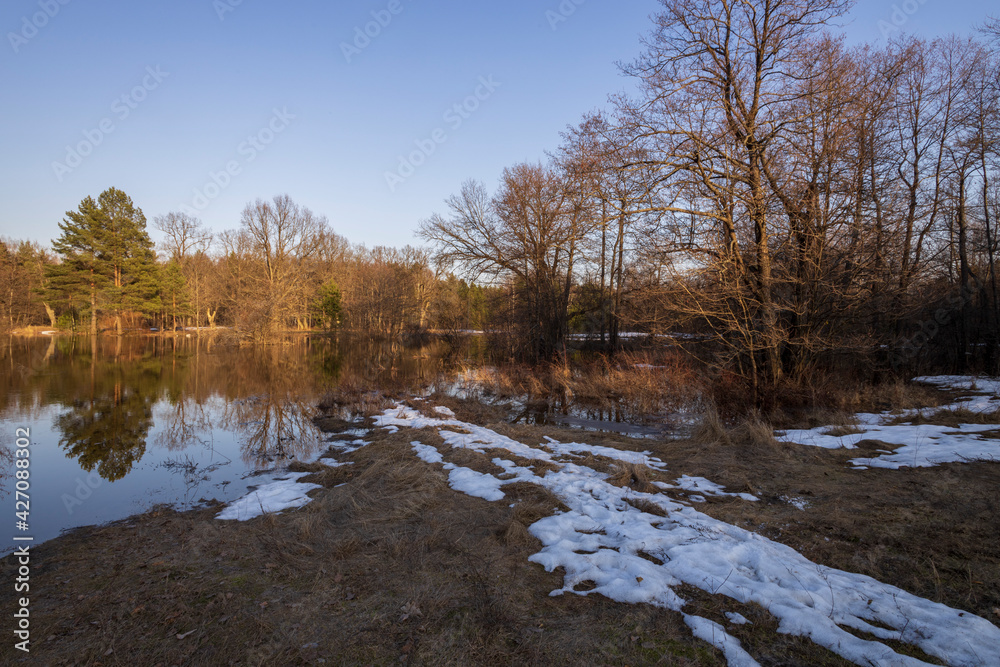 River flood. The pines are illuminated by the rays of the setting sun. Evening landscape with a river and trees. Dry grass in the foreground. Bright colors. River flood. The pines are illuminated by the rays of the setting sun. Evening landscape with a river and trees. Dry grass in the foreground. Bright colors.