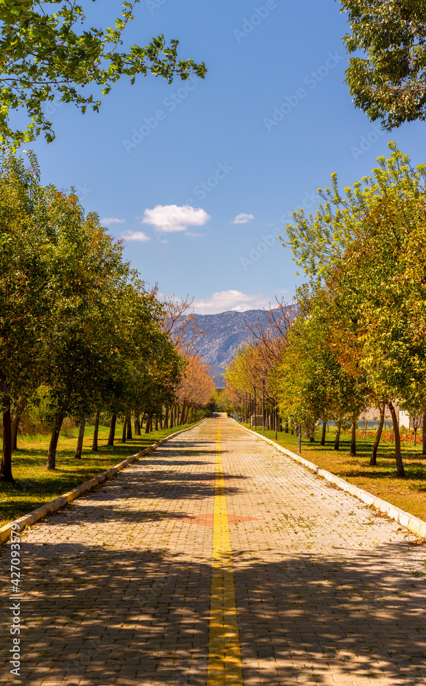 Naklejka premium Long and thin cobblestone road with trees on both sides