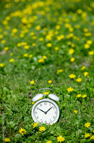 White classic alarm clock with bells on green meadow with yellow flowers