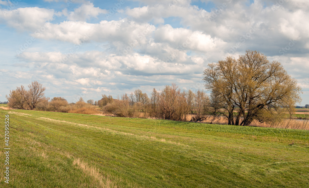 Dutch landscape in the spring season. The trees are budding now. There are white cumulus clouds in the blue sky. The photo was taken in the province of North Brabant.