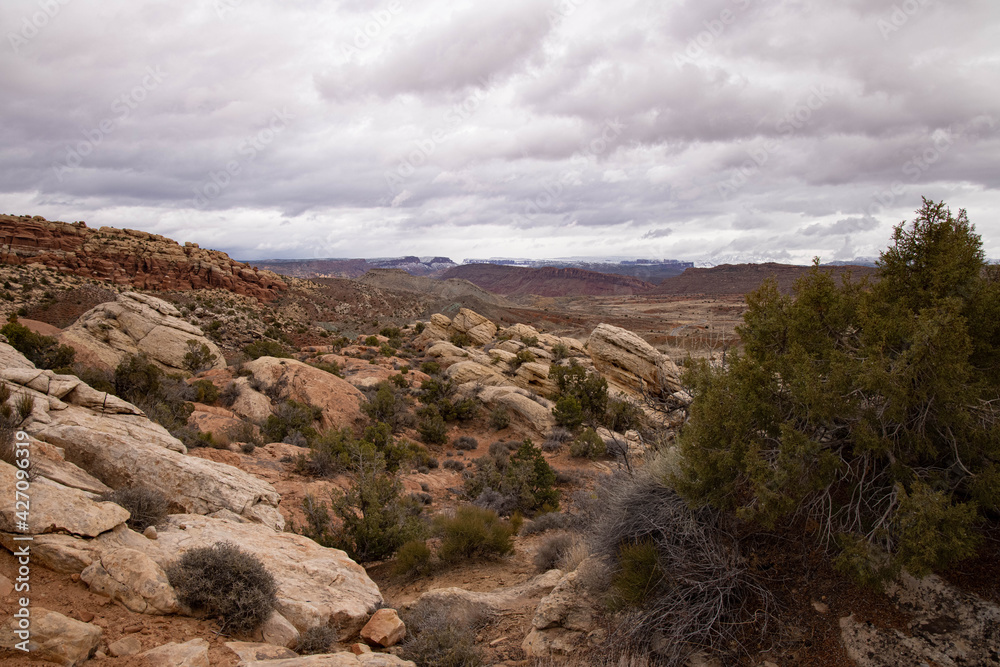 Semi-arid rocky landscape with trees.