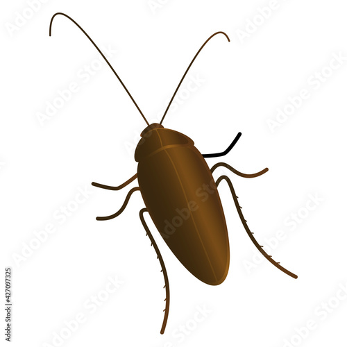 CUCARACHA