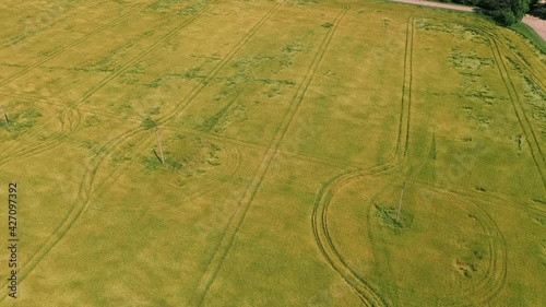 Agricultural field with sown wheat, which was killed and damaged after the storm