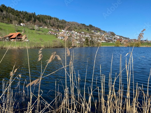 Late winter and early spring on the beautiful small lake Egolzwilersee or Lake Egolzwiler, Egolzwil - Canton of Lucerne, Switzerland (Schweiz) photo