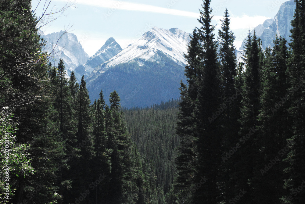 Fototapeta premium Canada- Banff- Panorama of Forests and Snow Covered Mountains