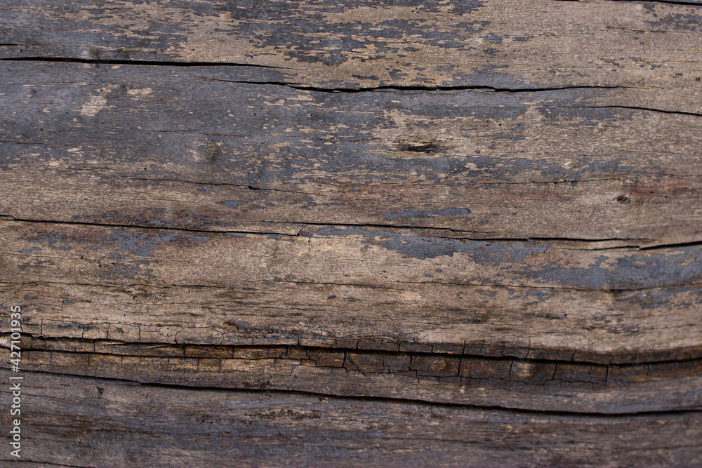 Old wood bark texture background image Old wood bark texture background image