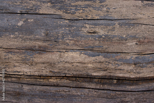 Old wood bark texture background image 