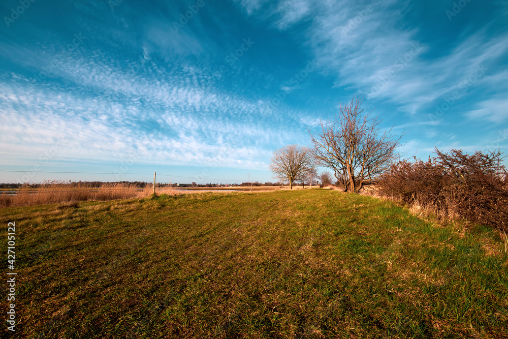 Obraz premium Natural park in Denmark