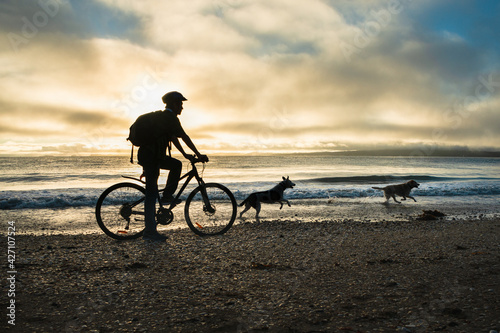 Silhouette image of a cyclist riding along the Milford beach with Rangitoto Island in the clouds and two dogs playing on the beach