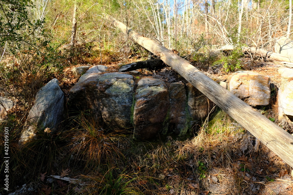 Obraz premium Kisatchie National Forest Boulders Landscape on the Backbone Trail