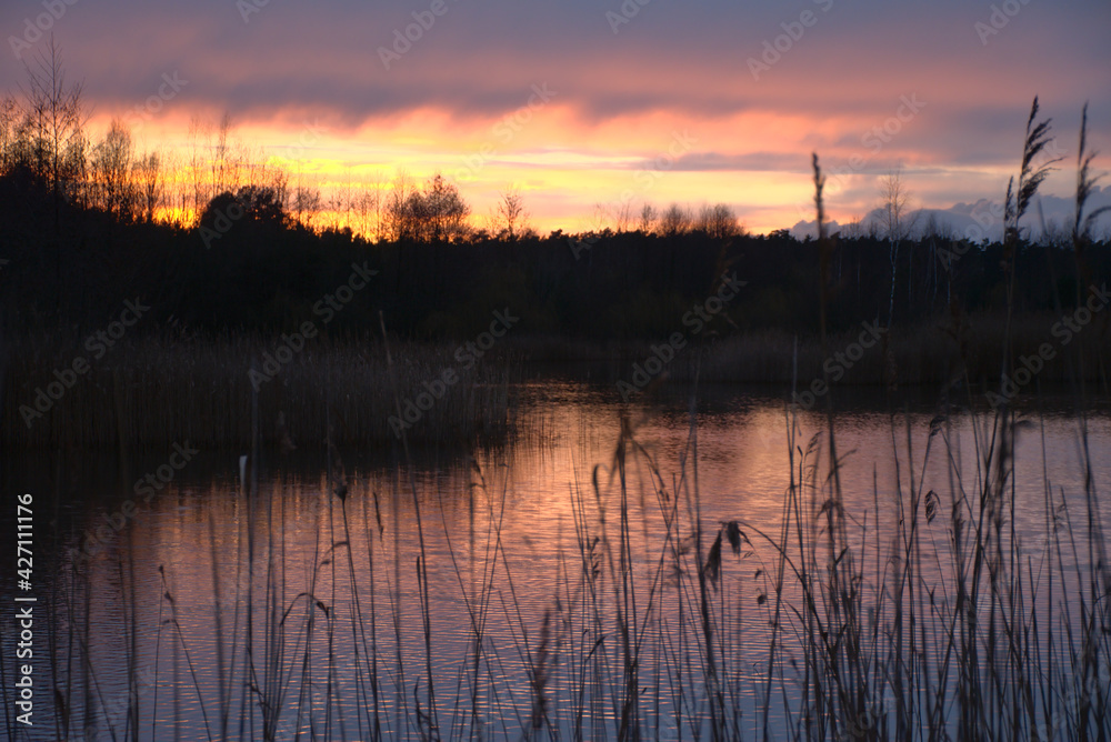 sunset over the lake in the forest