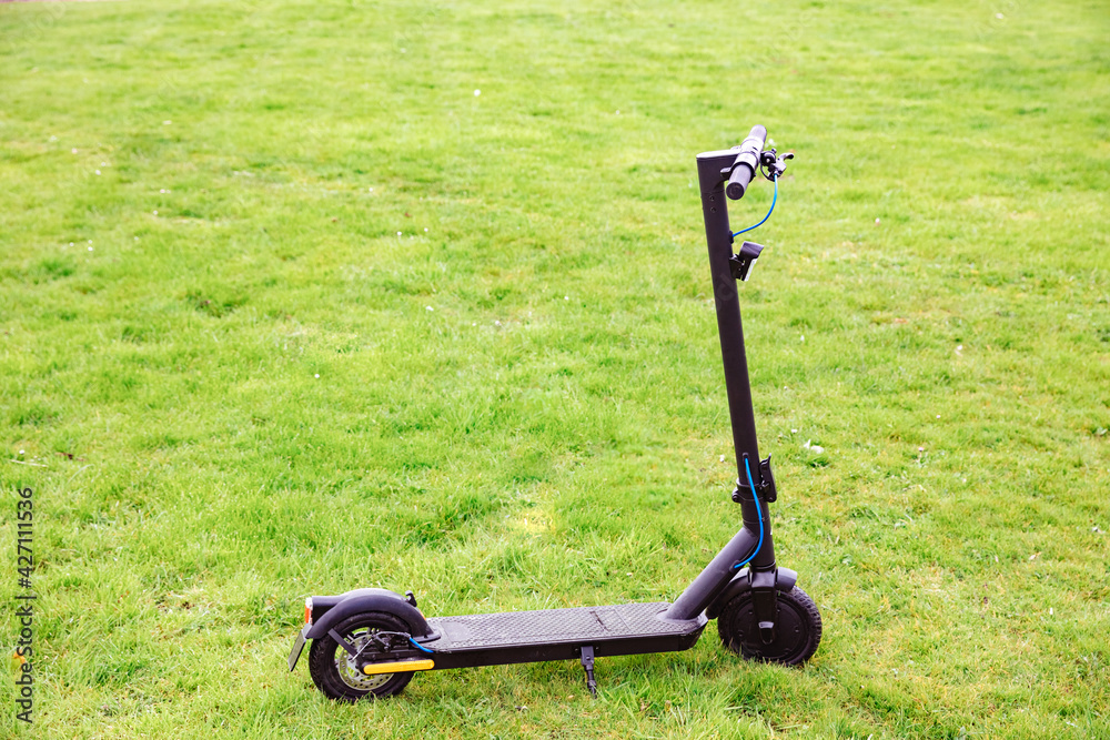 Fototapeta premium Electric scooter on green lawn. Electromobility in Germany 
