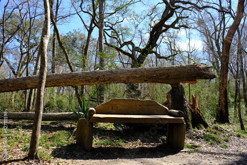 Acadiana Park Wood Bench Louisiana