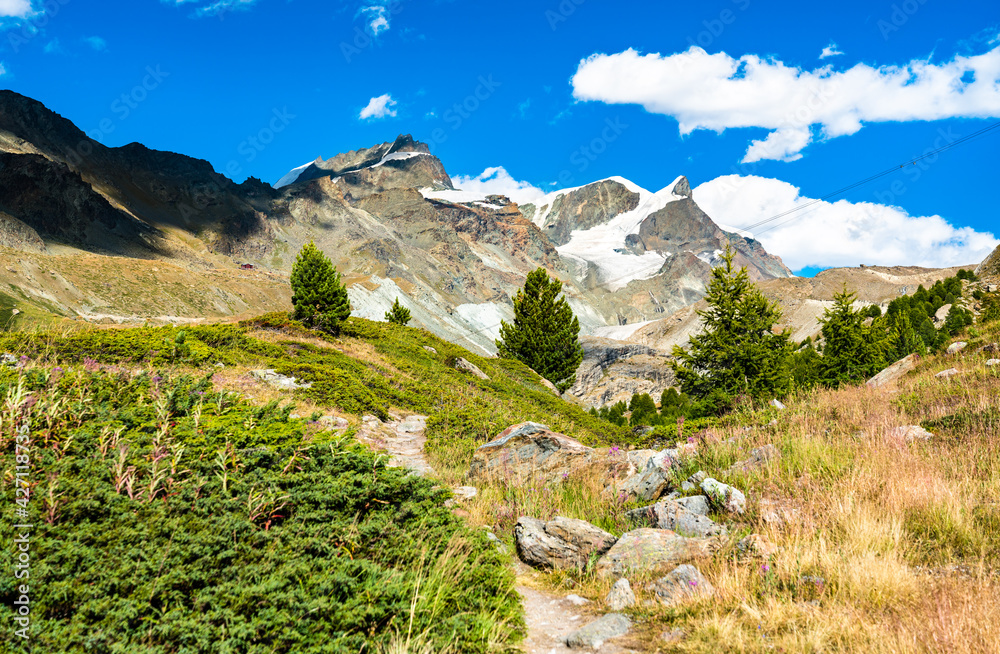 View of Swiss Alps near Zermatt