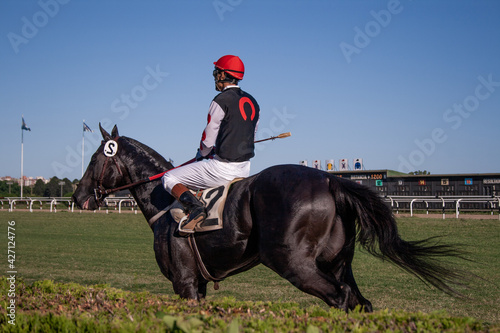 Horse and jockey running through a field at twilight