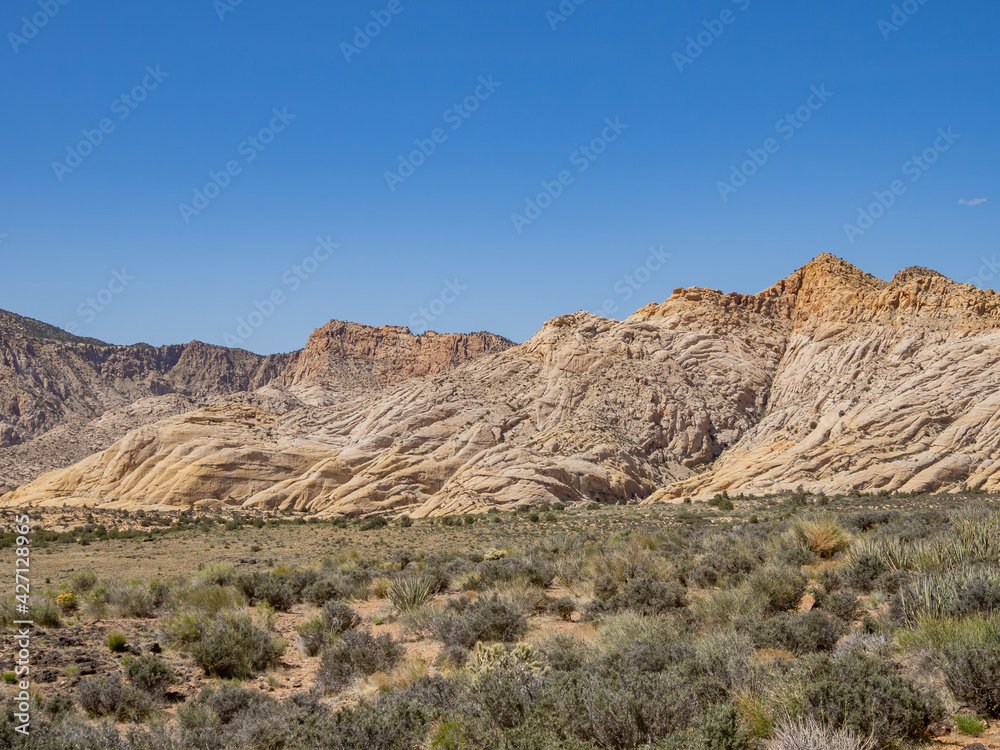Sunny landscape of the Snow Canyon State Park Sunny landscape of the Snow Canyon State Park