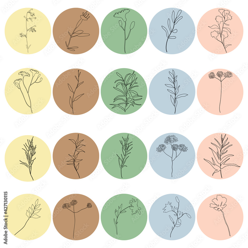 Set of minimal botanical vector highlight covers. Herbal backgrounds ...